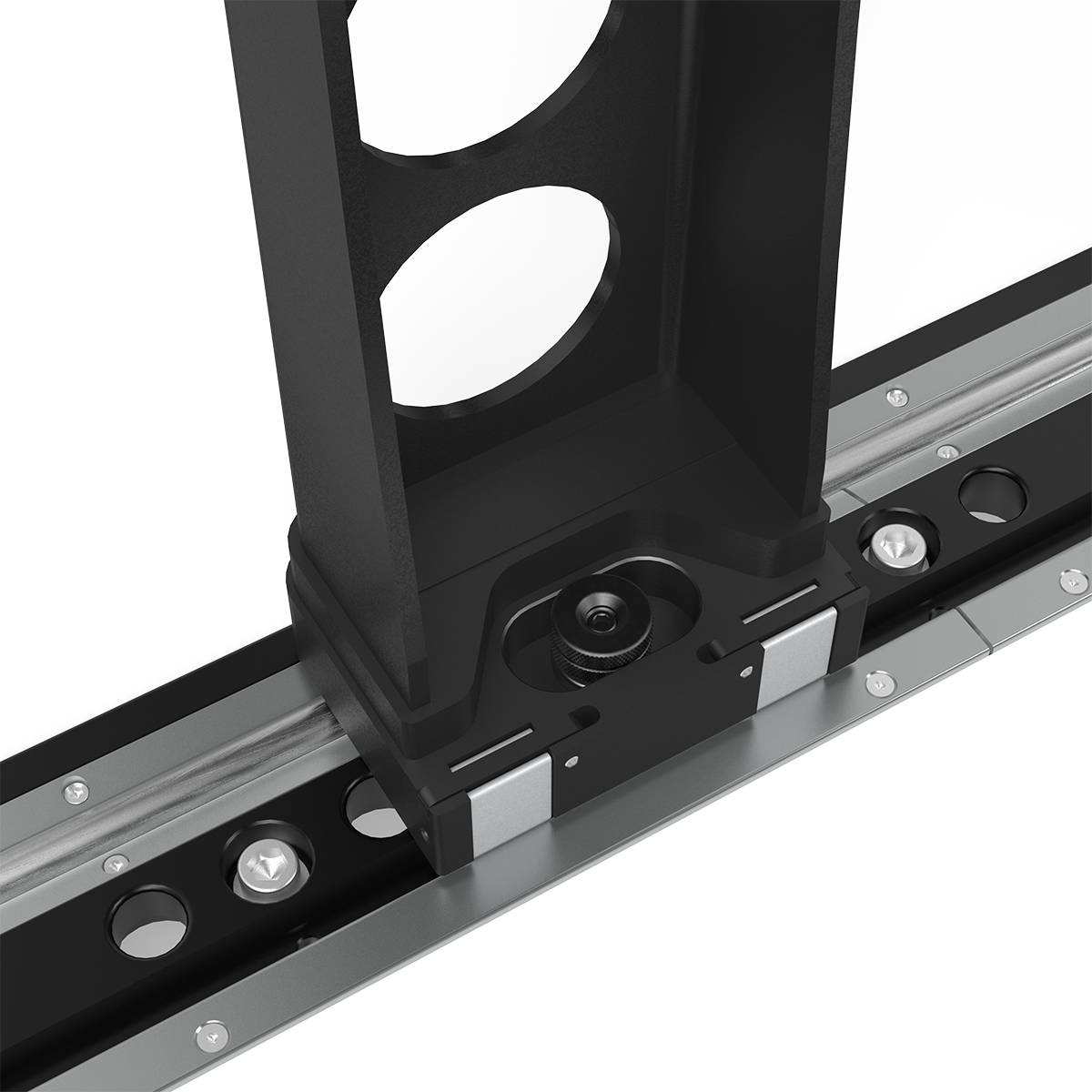 Siegmund Rail System