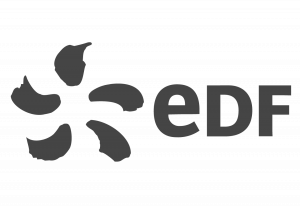EDF Energy Logo