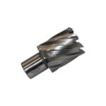 Standard Cutter 31 mm
